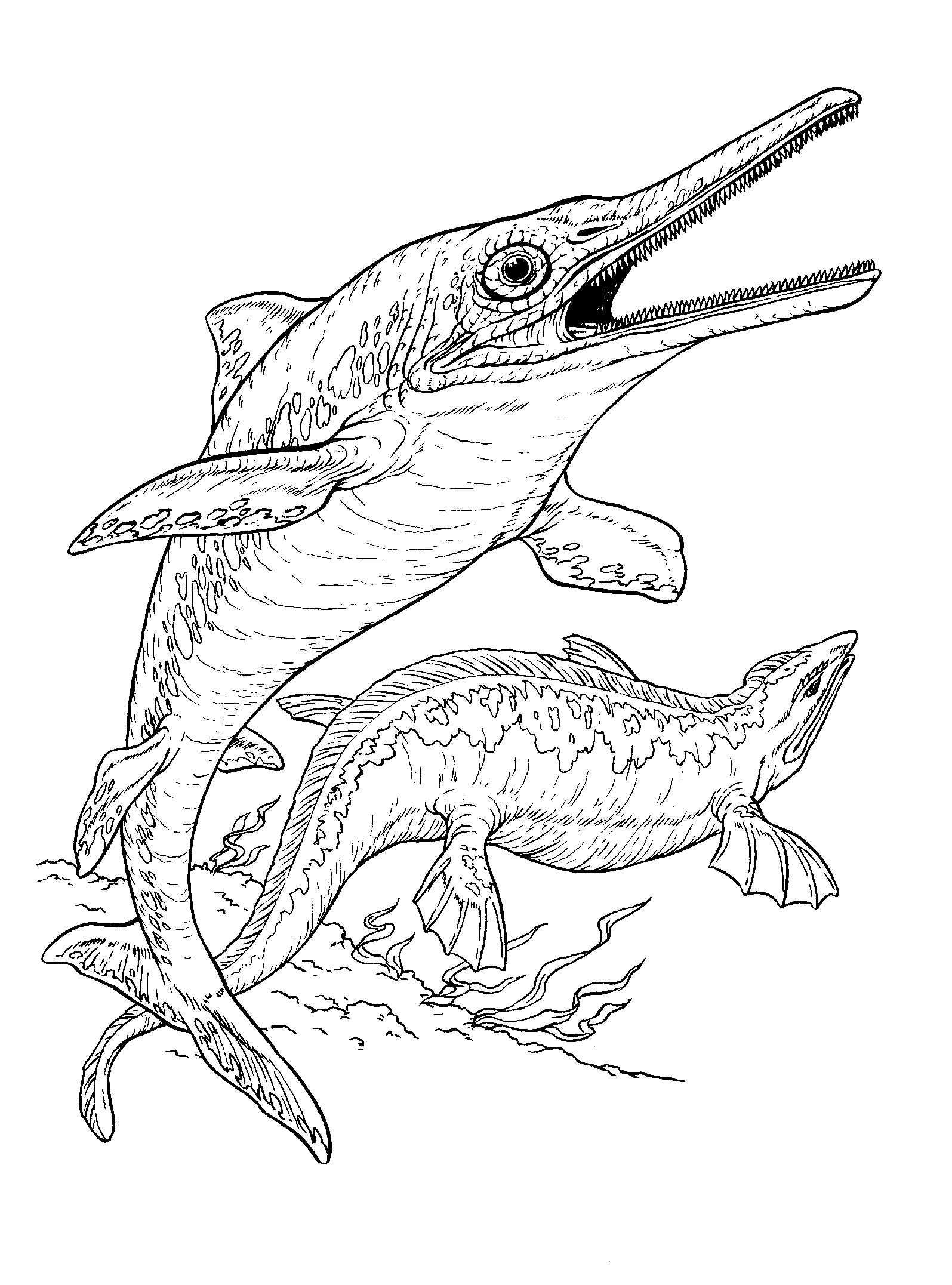 ぬりえ - 魚竜とプレシオサウルス