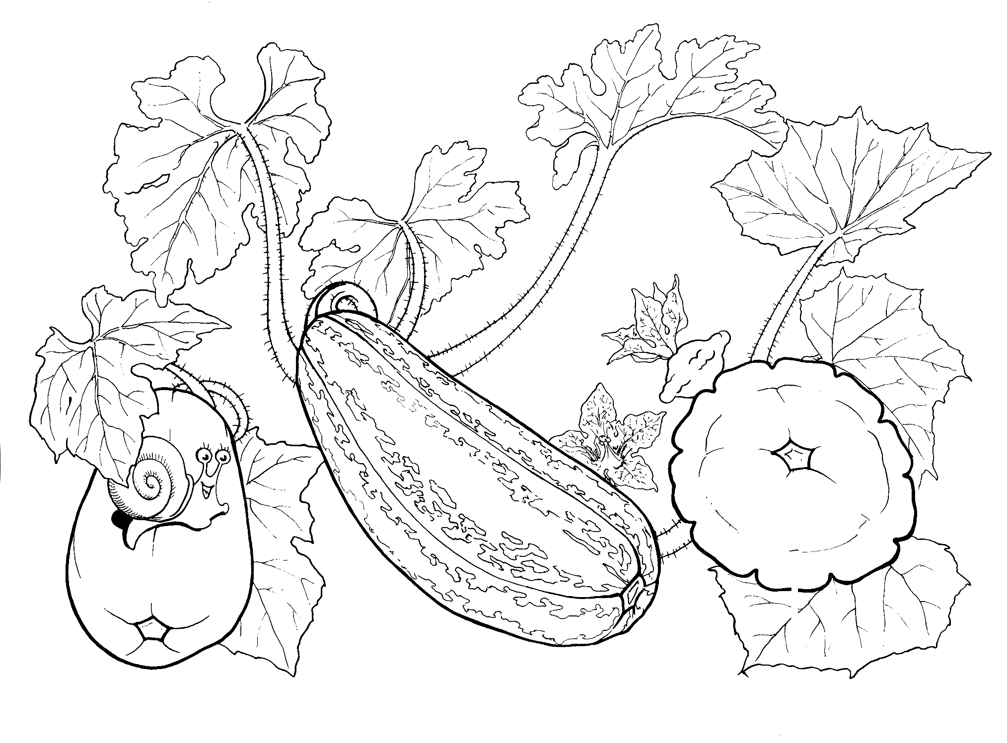 ぬりえ - いくつかの野菜を設定します