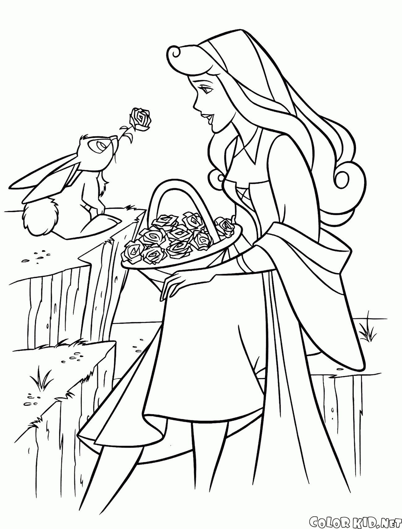 オーロラ姫とウサギ