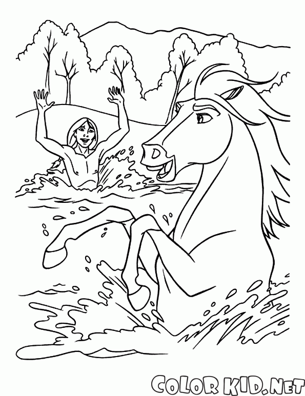お風呂の馬