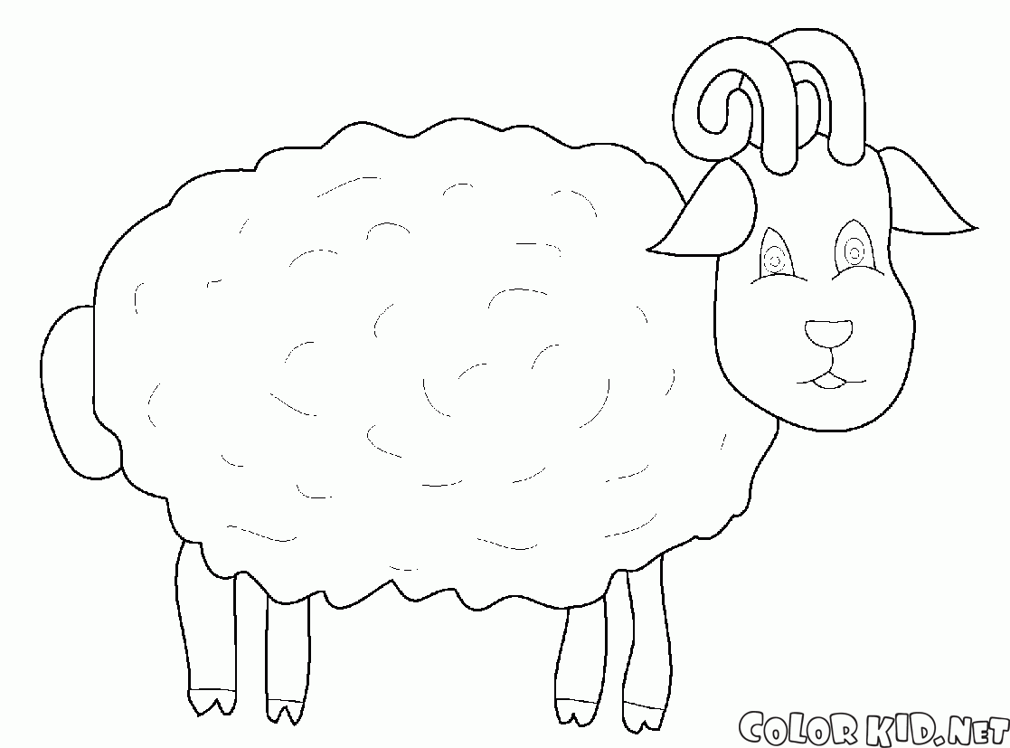 羊の牧草地