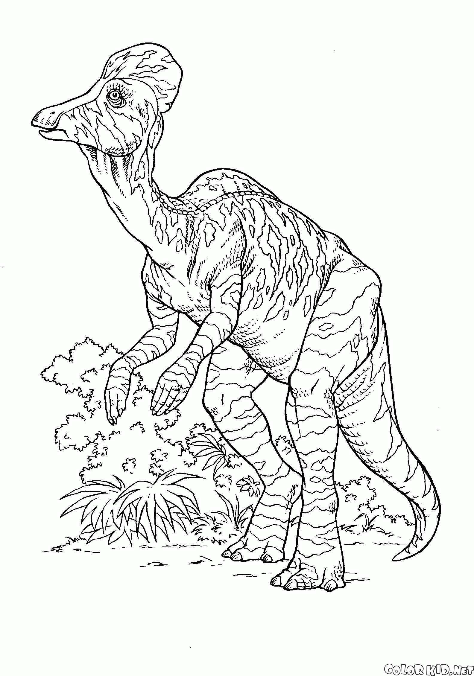 ぬりえ コリトサウルス ぬりえ コリトサウルス
