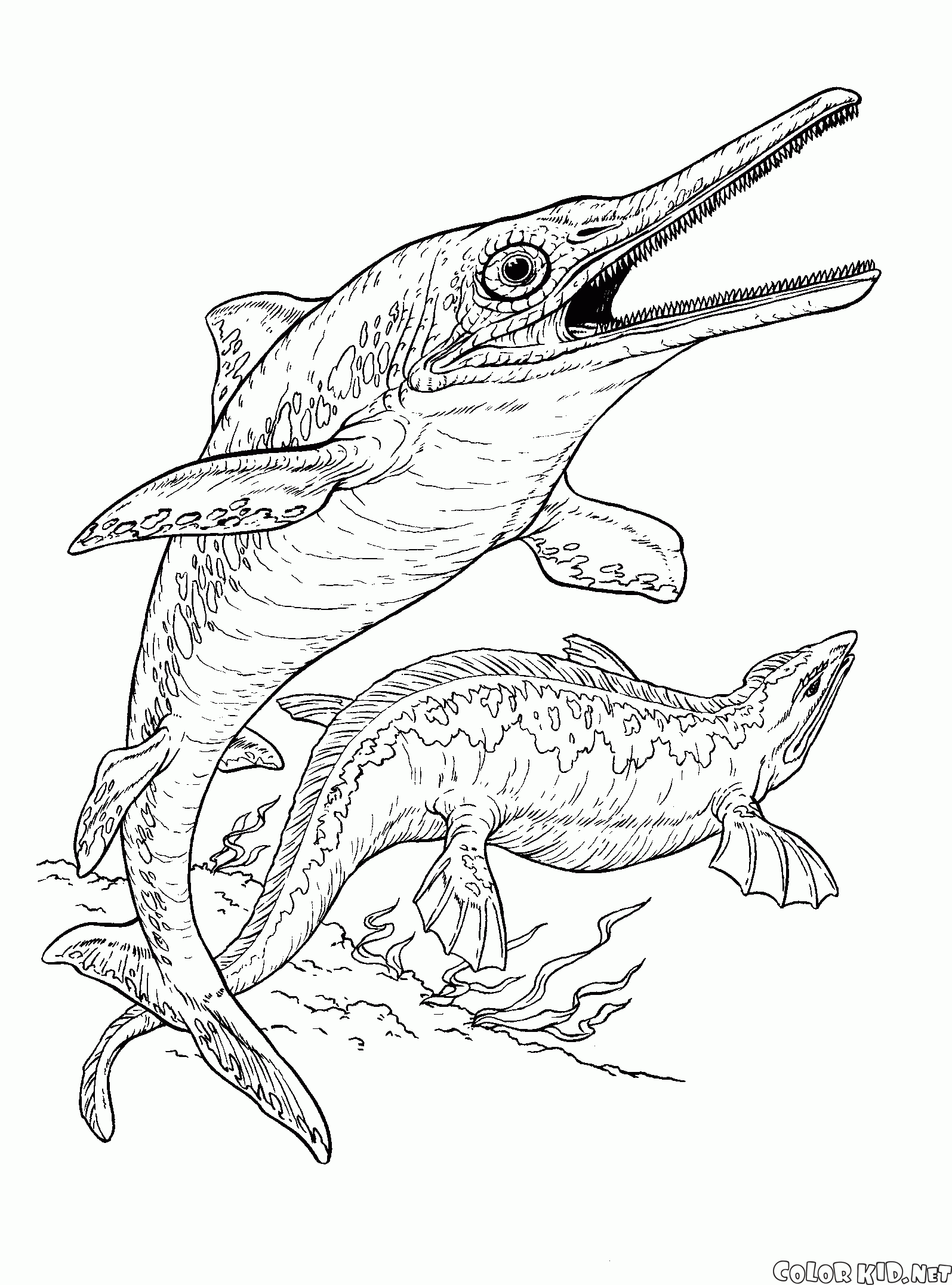 魚竜とプレシオサウルス