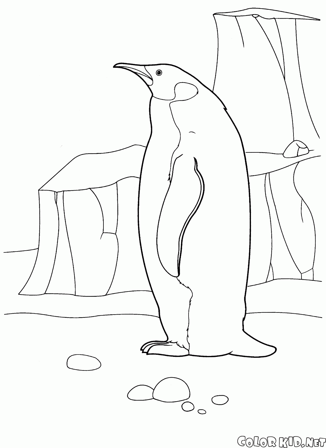 北極でのペンギン