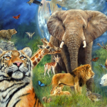 アニマルワールド