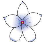 花