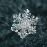 雪の結晶