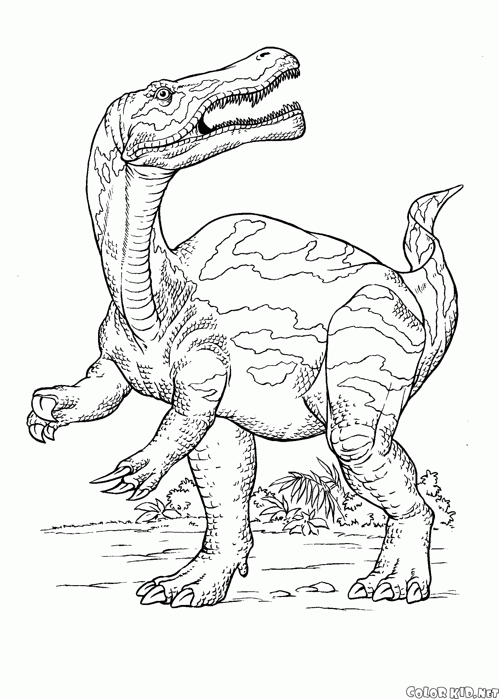 恐竜 塗り絵