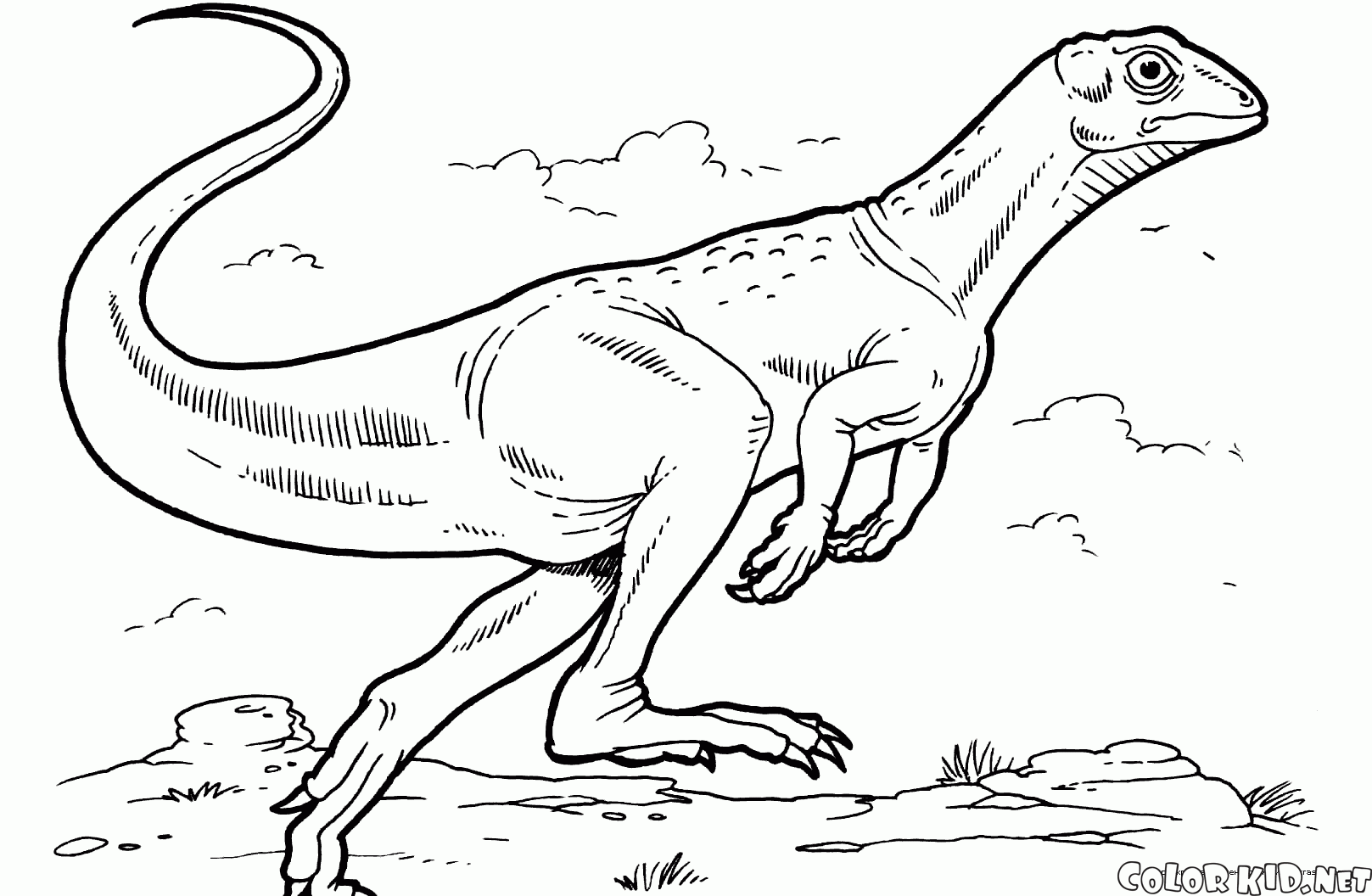 ぬりえ 恐竜