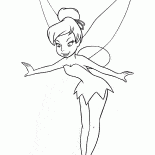 フェアリーバレリーナ