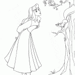 森の中のオーロラ