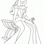 オーロラのドレス