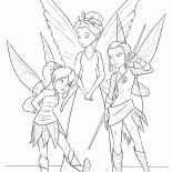 ロイヤルフェアリー