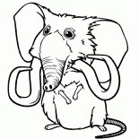 サンディのペット