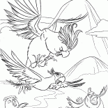 鳥を追います