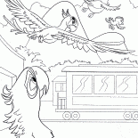 ジュエルは離れて飛びます