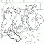 オウムとルイス