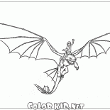 飼いならさドラゴン