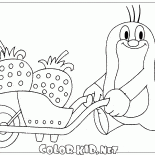 ほくろとイチゴ