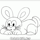 リトルラビット