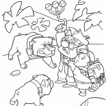犬が囲みます