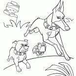 3匹の犬