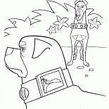 カラードーベルマン