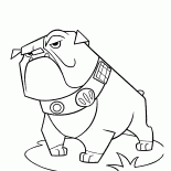 ブルドッグ