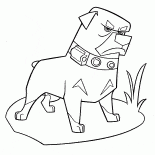 怒っている犬