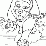 大きな犬