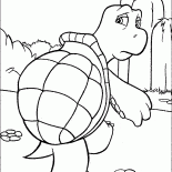 爬虫類カメ