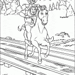 ロバの猫とシュレック