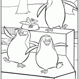 マダガスカルのペンギン