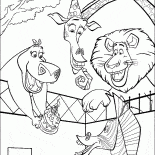 マーティの誕生日