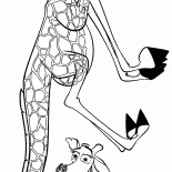 メルマンは浮気され