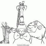 美しいグロリア