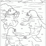 ラースとシール