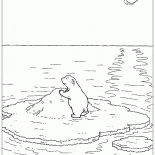 流氷上の1つ