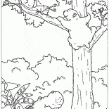 ラースとカメレオン