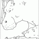 森の蝶