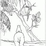 熱帯のラース