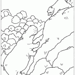 カバとクマ