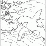 シャチに乗ります