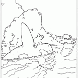 ラースとシャチ