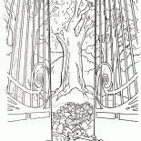 リスのスクラットの楽園