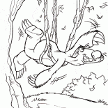 シドナマケモノ