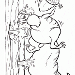 リスのスクラット