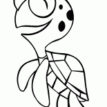 カメ
