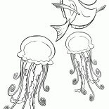 通りとクラゲ