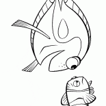 オーシャン魚